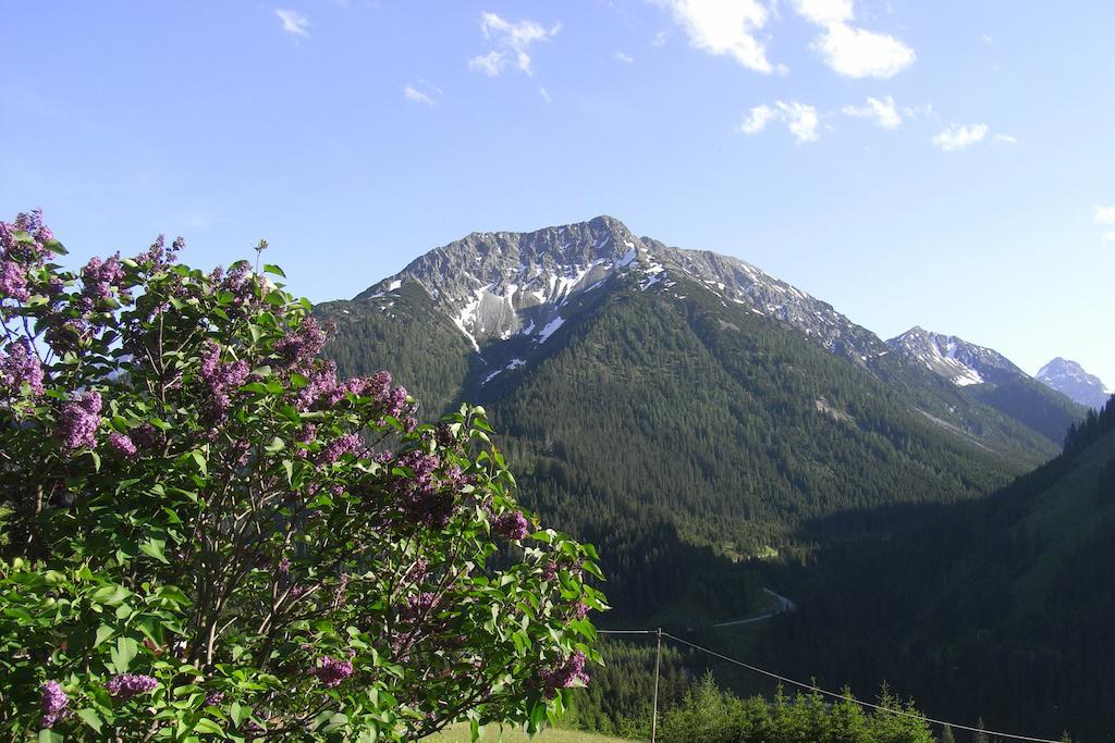 Haus Falger Appartamento Berwang Esterno foto