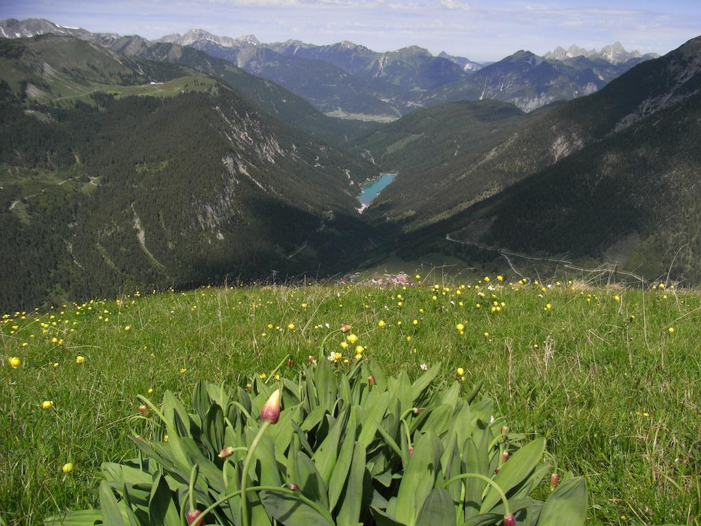 Haus Falger Appartamento Berwang Esterno foto